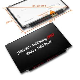 LED Display 14,0" 2560x1440 passend für AUO...
