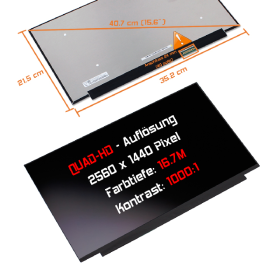 LED Display 15,6" 2560x1440 passend für LG...