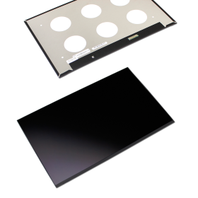 LED Display 17,0" 2560x1600 passend für Medion Erazer Beast X40