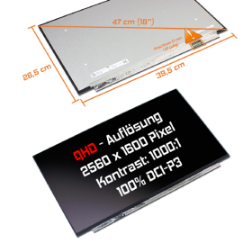 LED Display 18,0" 2560x1600 165Hz 100%sRGB passend...