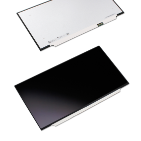 LED Display 17,3" 1920x1080 480Hz 100%sRGB passend für Innolux N173HME-GA2