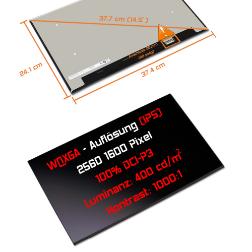LED Display 17,0" 2560x1600 passend für AUO B170QAN01.2