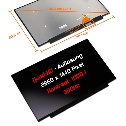 LED Display 17,3" 2560x1440 passend für Schenker XMG Apex 17 Late 23