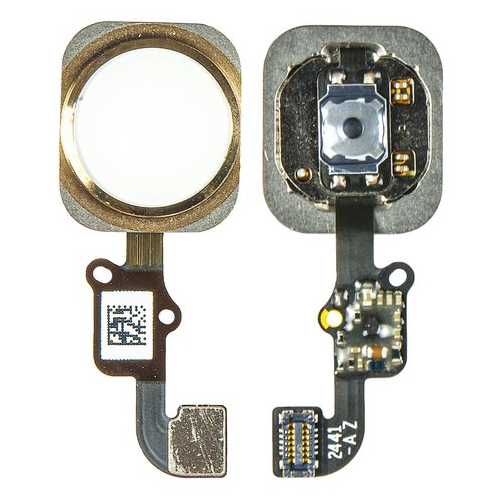 Home Taste + Flexkabel gold für Apple iPhone 6 (A1586, A1549)