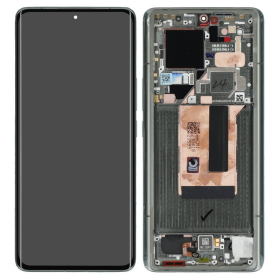 Display Modul mit Rahmen und Toucheinheit olive...