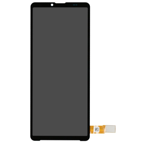 Display Modul mit Toucheinheit 101947211 für Sony Xperia 10 VI (XQ-ES54)