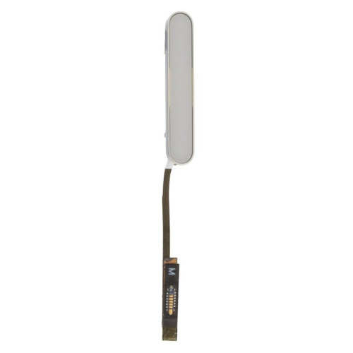 Kamera Taste + Flexkabel white/weiß für Apple iPhone 16 Plus (A3290)
