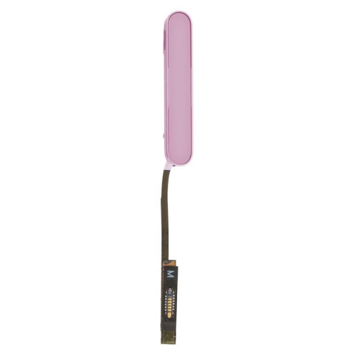 Kamera Taste + Flexkabel pink/rosa für Apple iPhone 16 Plus (A3290)