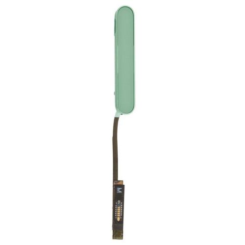 Kamera Taste + Flexkabel teal für Apple iPhone 16 Plus (A3290)