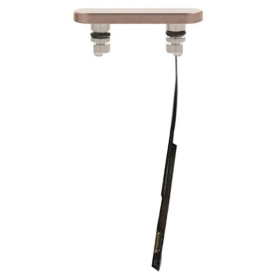 Kamera Taste + Flexkabel desert titanium für Apple...